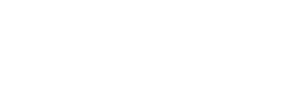 Lemori Transportes Ltda